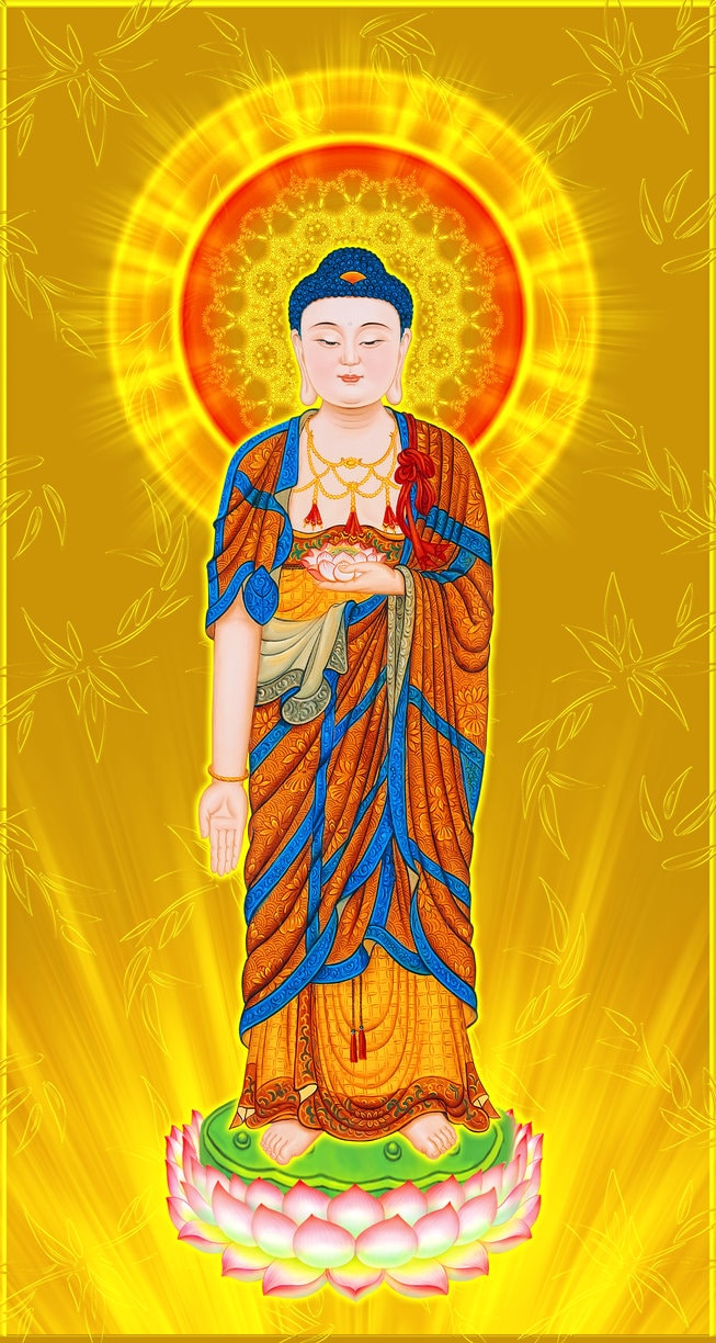 佛典故事】天人转世轮回为鱼佛陀揭秘前世因果- 带安来法师佛教网